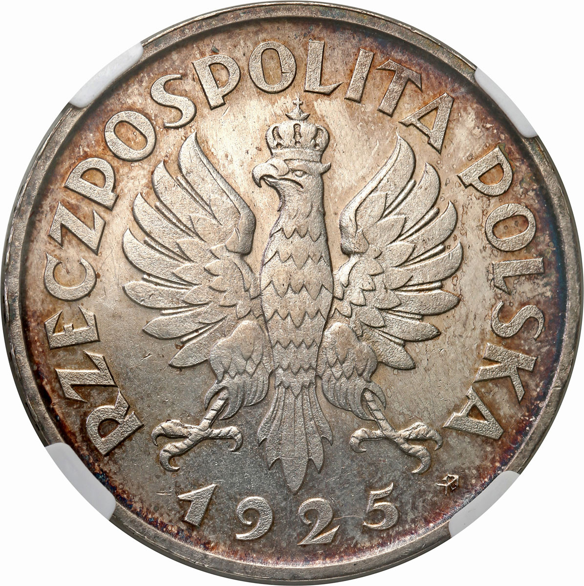 II RP. PRÓBA srebro 5 złotych 1925 Konstytucja 81 perełek  NGC MS64 (MAX) RZADKOŚĆ